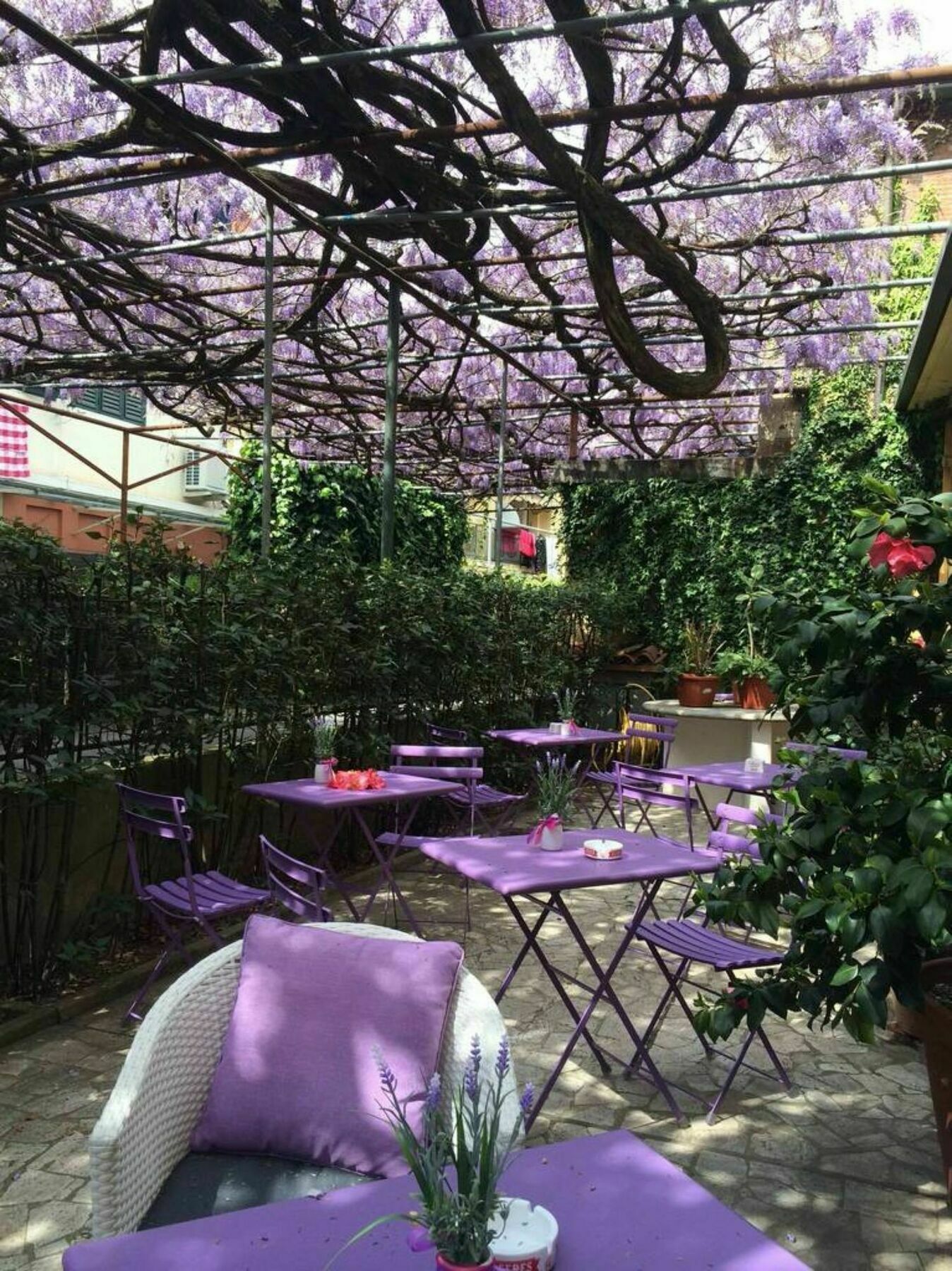 Hotel Stipino Lucca Exterior foto